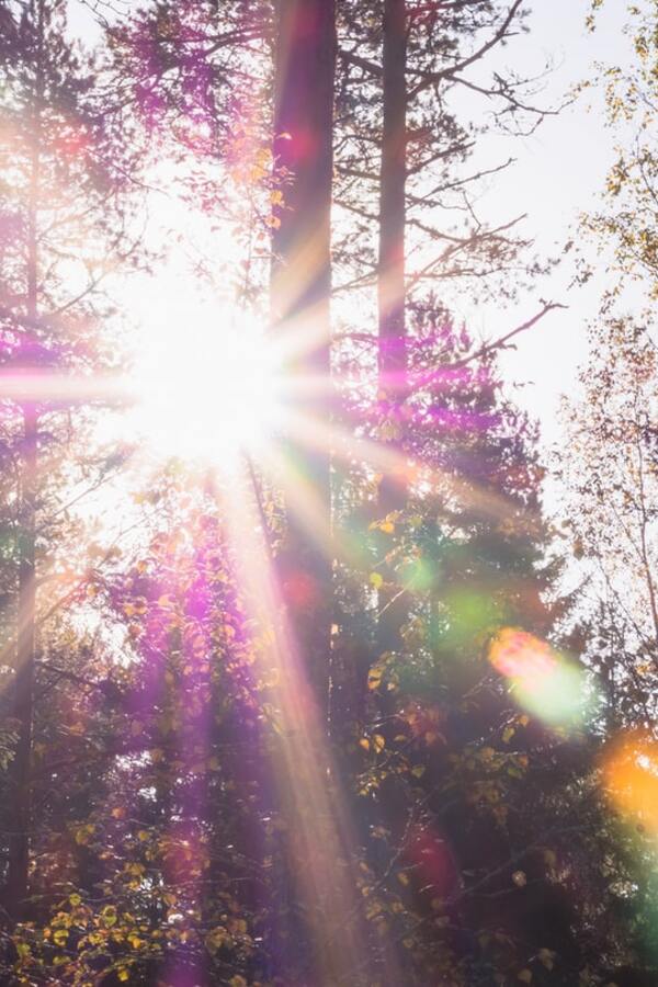 Ваше Творчество 